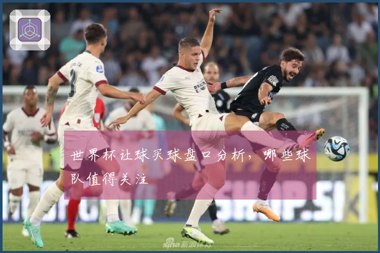 世界杯让球买球盘口分析，哪些球队值得关注