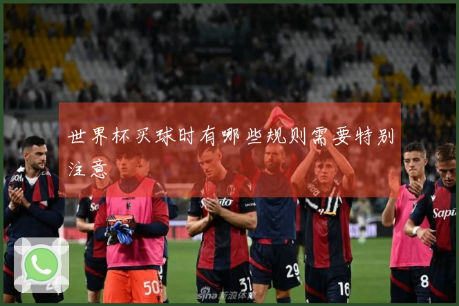 世界杯买球时有哪些规则需要特别注意