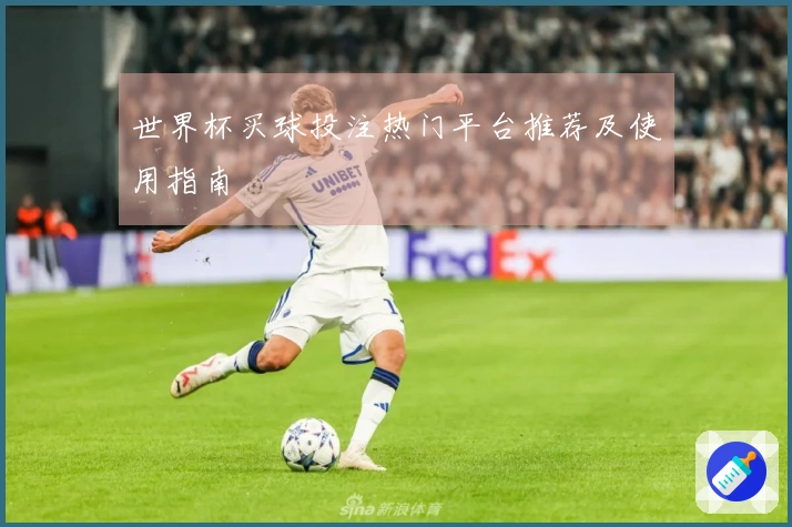 世界杯买球投注热门平台推荐及使用指南