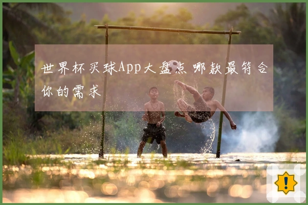 世界杯买球App大盘点 哪款最符合你的需求