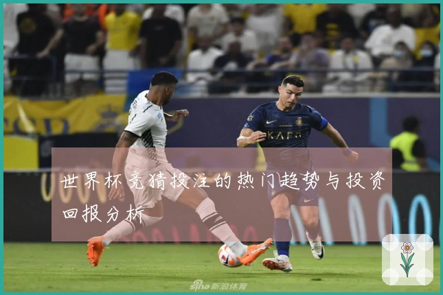 世界杯竞猜投注的热门趋势与投资回报分析